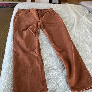 Burnt Sienna ladies Style & Company Jeans